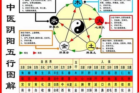 1984年五行